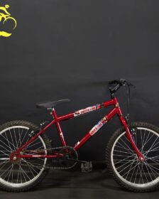 Bike Aro 20